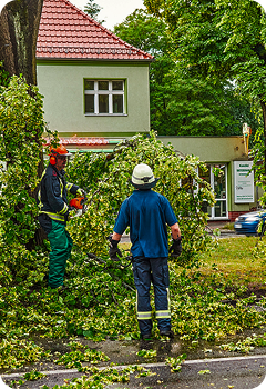 Storm Damage